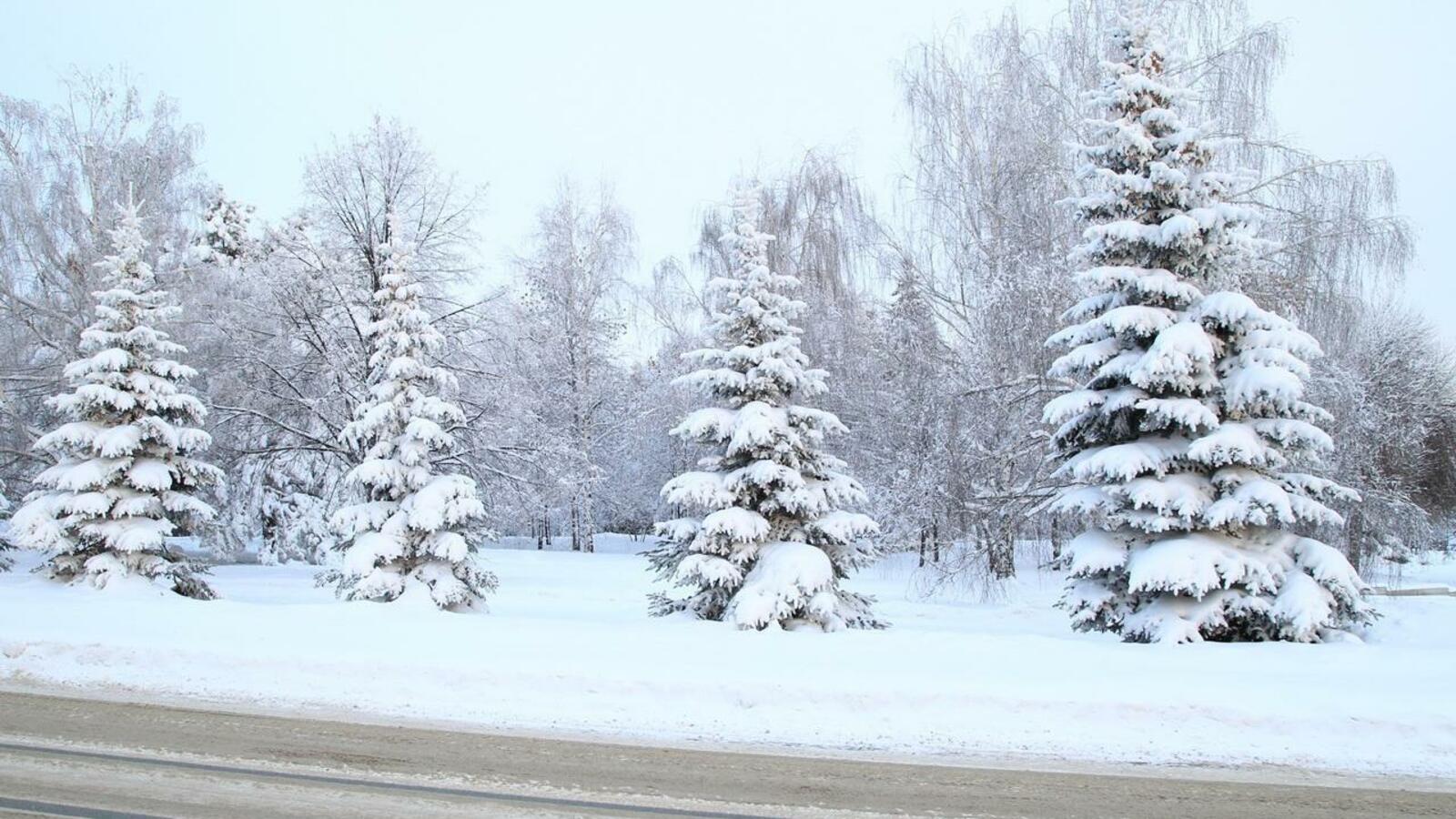 ИА «Башинформ»