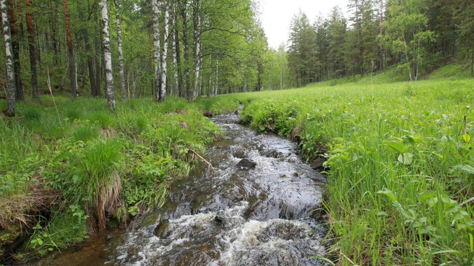 Олег Яровиков