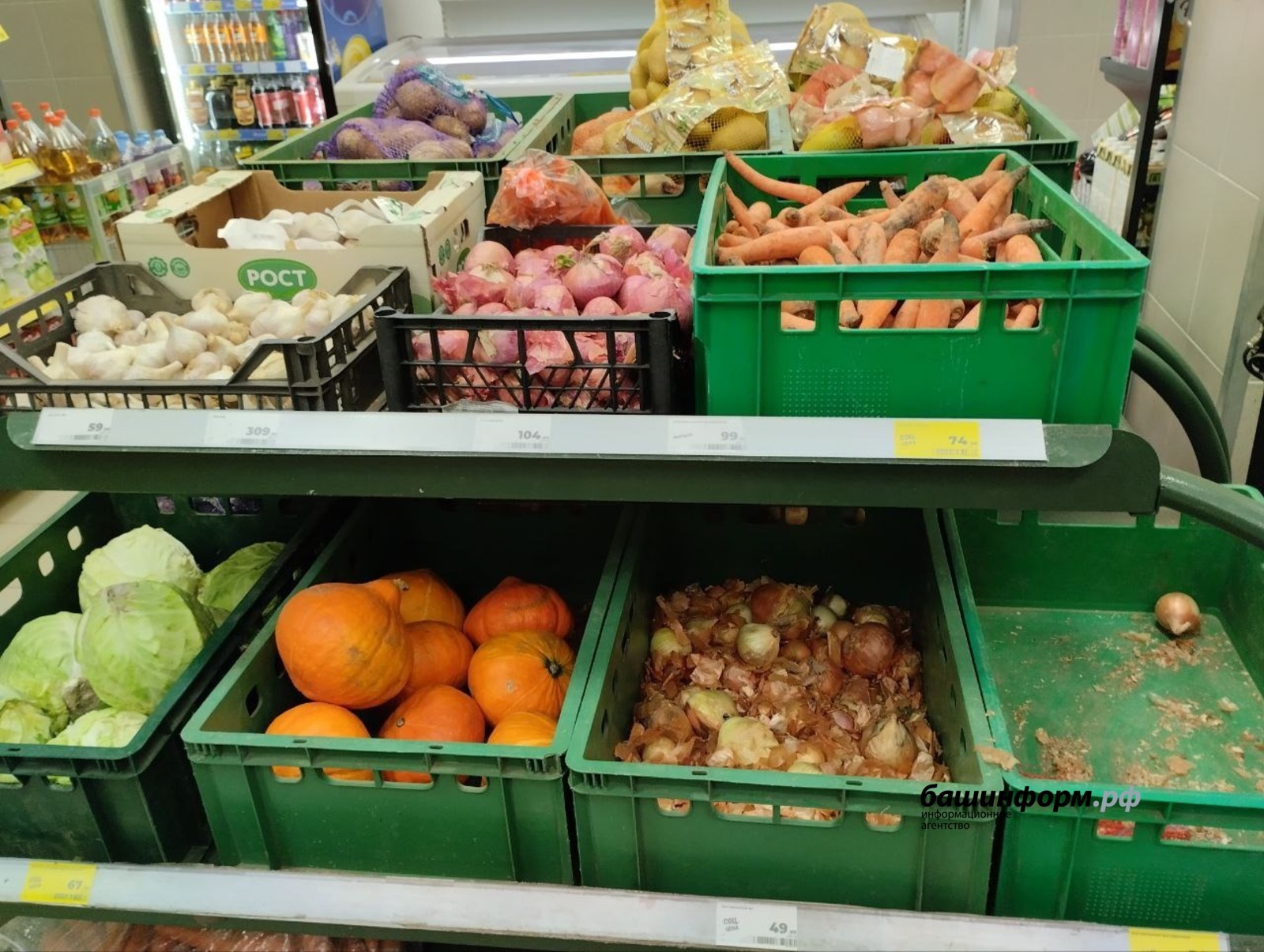 Башинформ архив