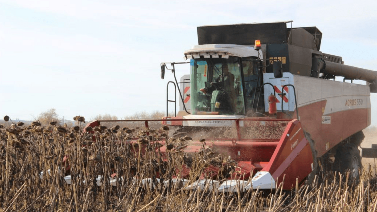 пресс-служба Минсельхоза Башкирии