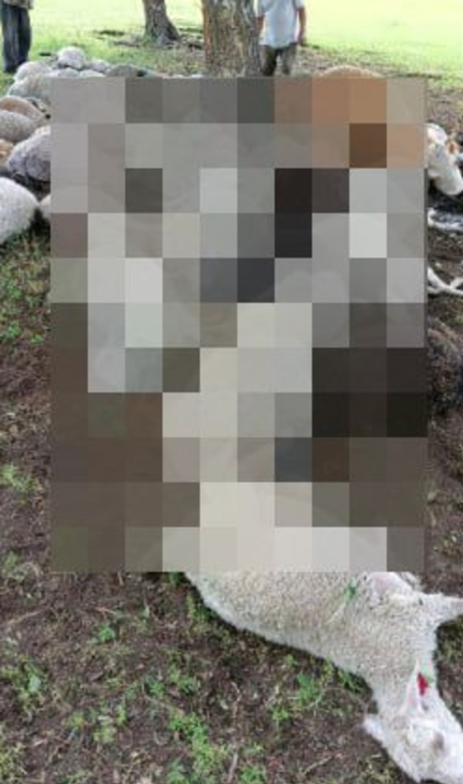 соцсети