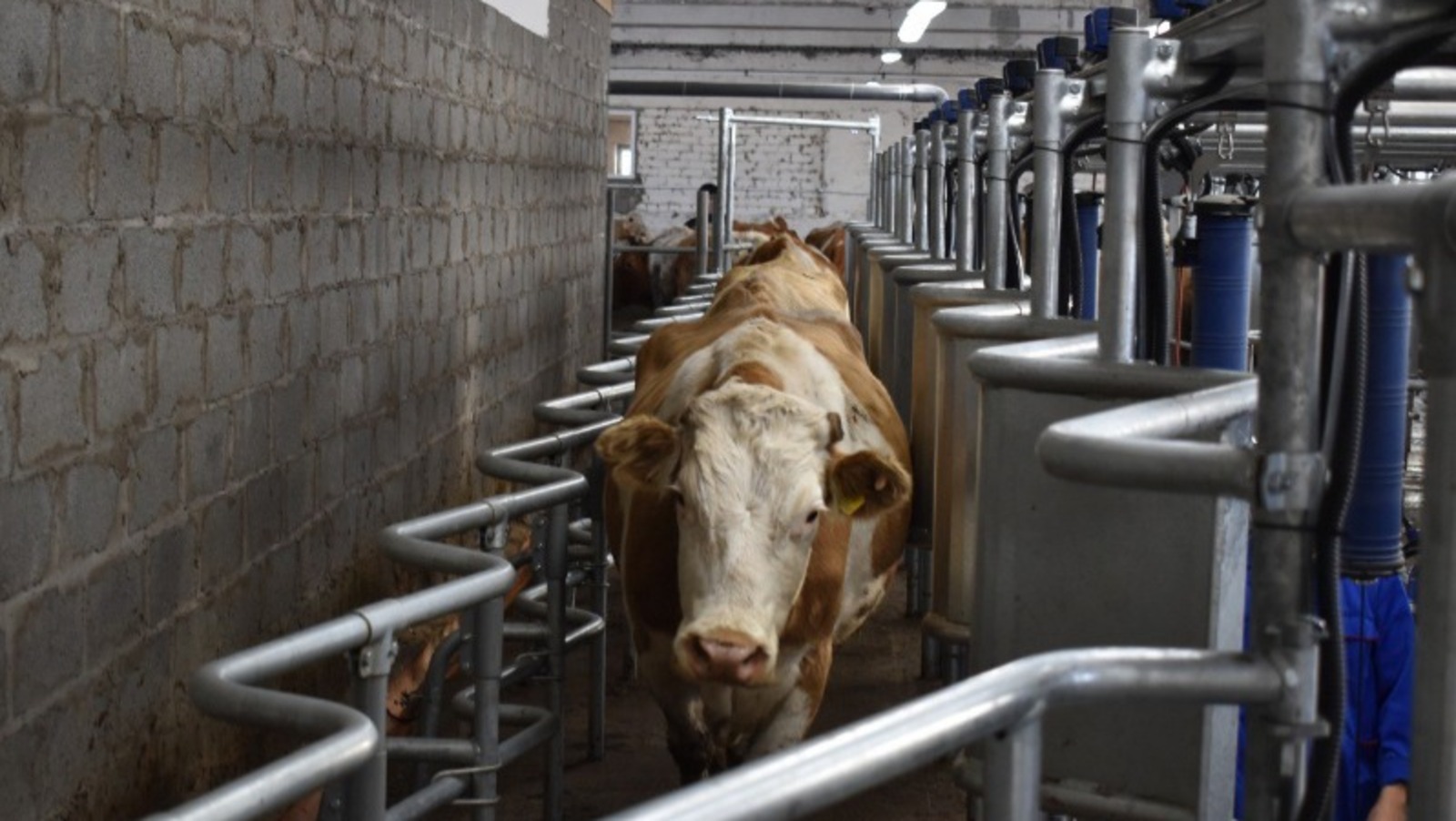 информационный отдел администрации Куюргазинского района