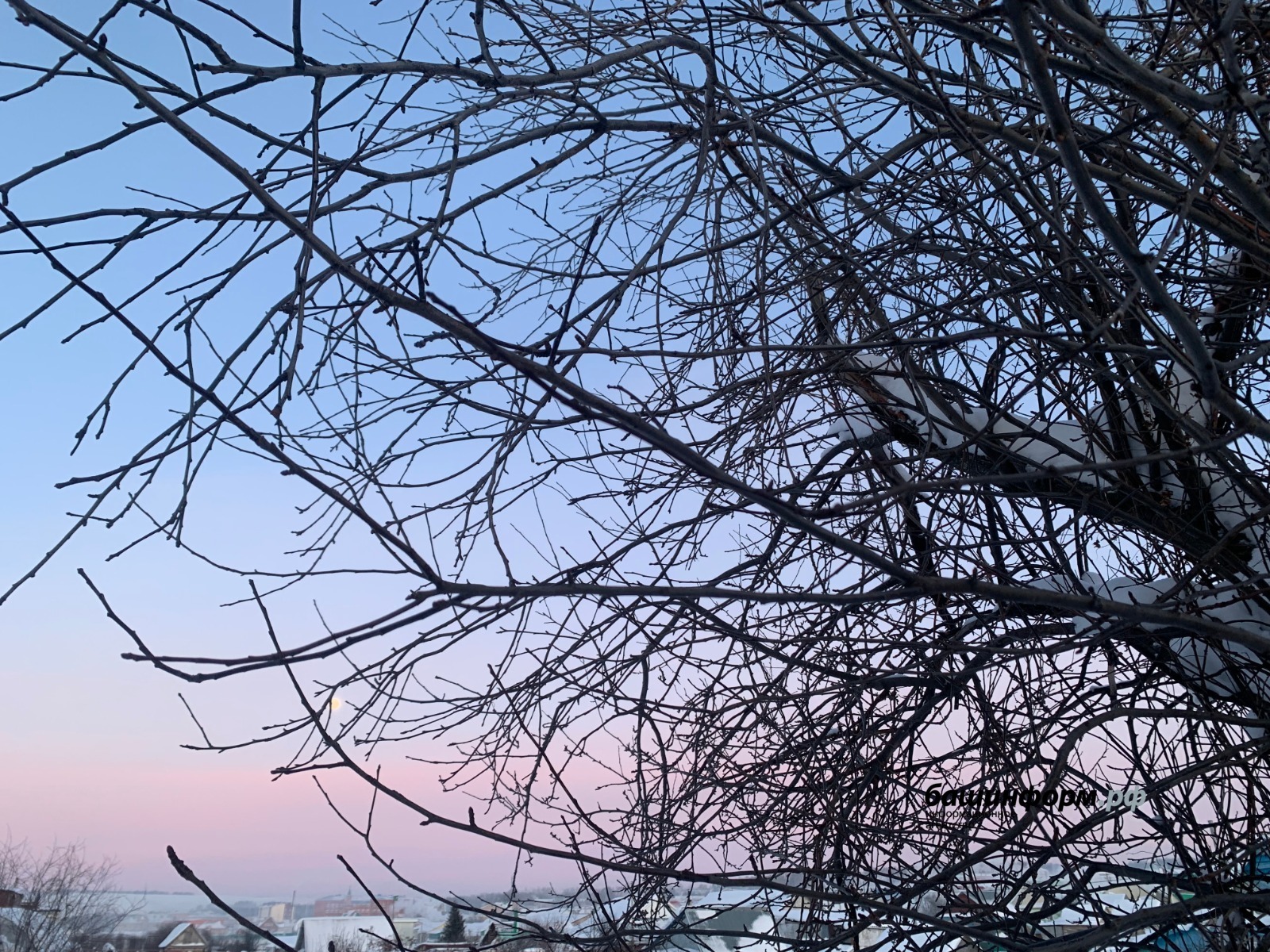 Галина Бахшиева ИА «Башинформ»