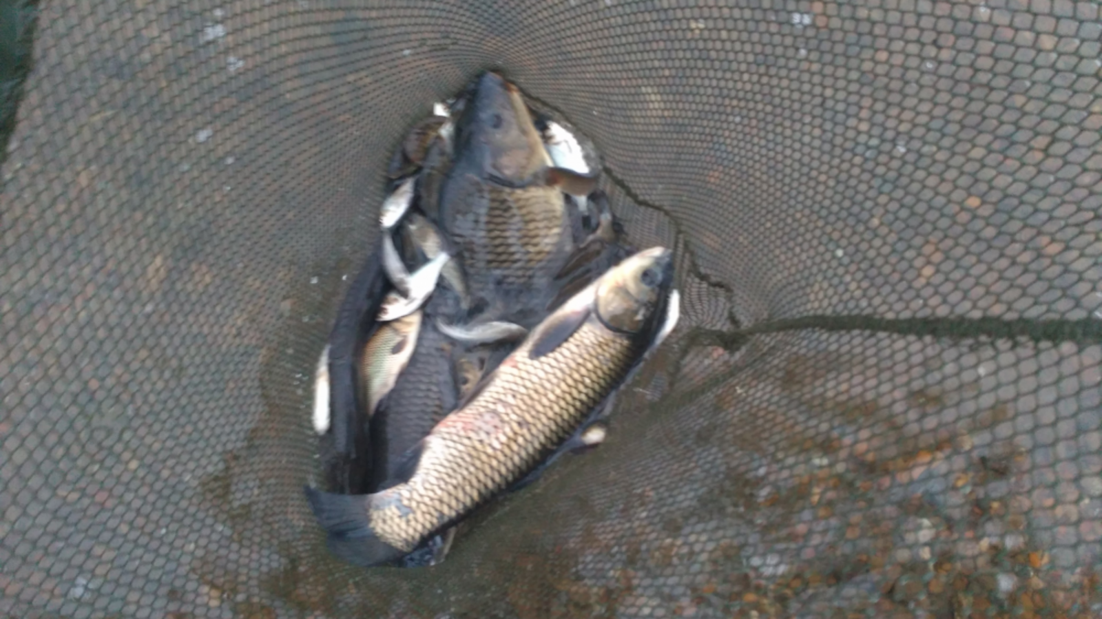 Лилия Нуретдинова