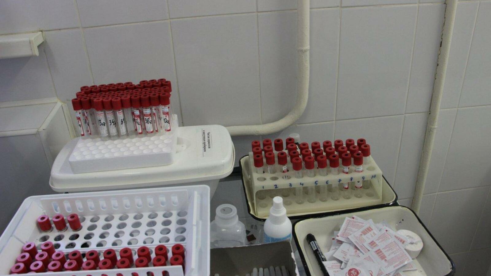 Ксения Калинина