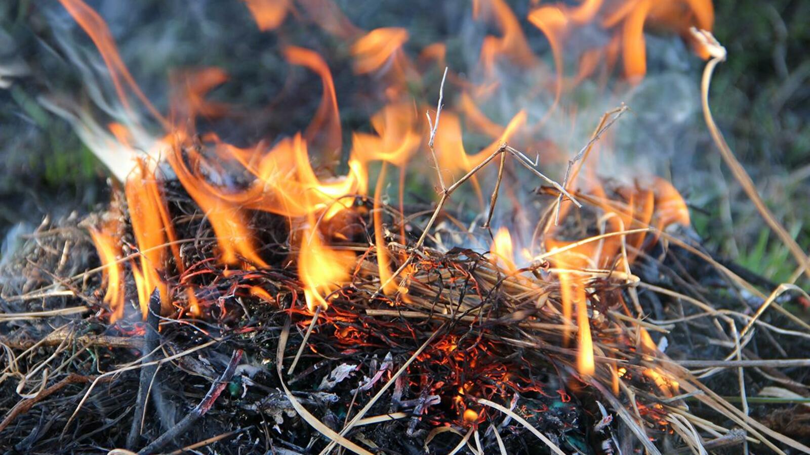 ИА «Башинформ»