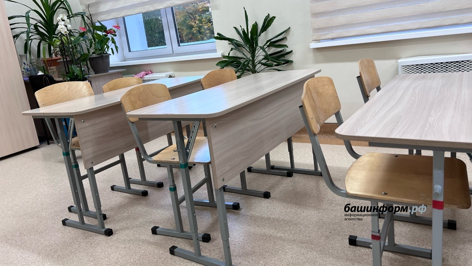 Ксения Калинина