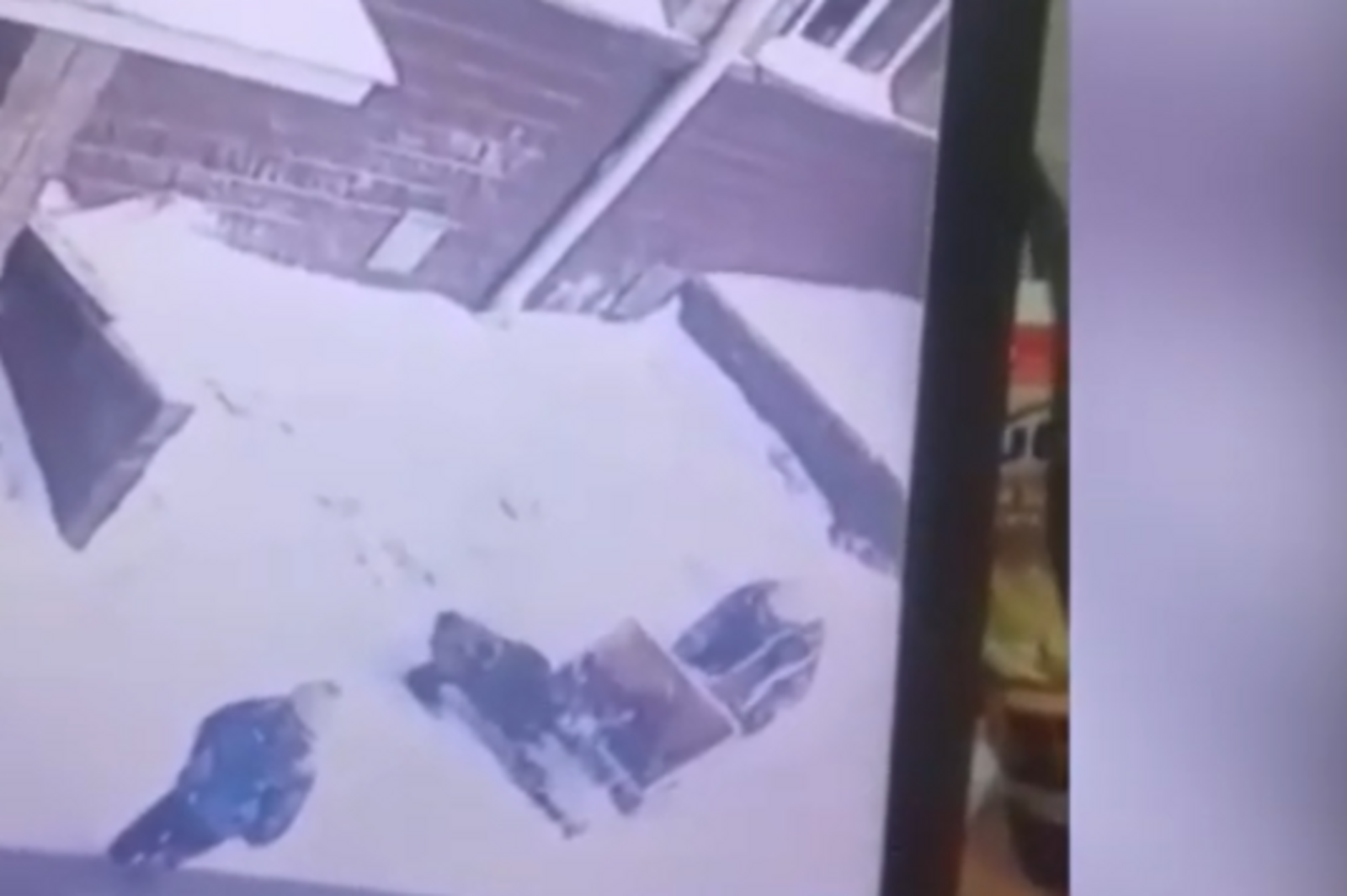 Соцсети