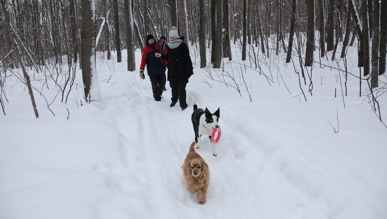 Валерий Шахов