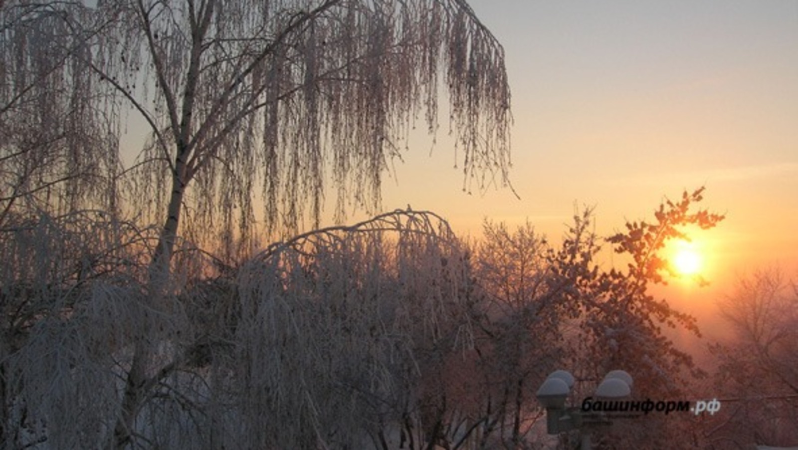 архив ИА «Башинформ»