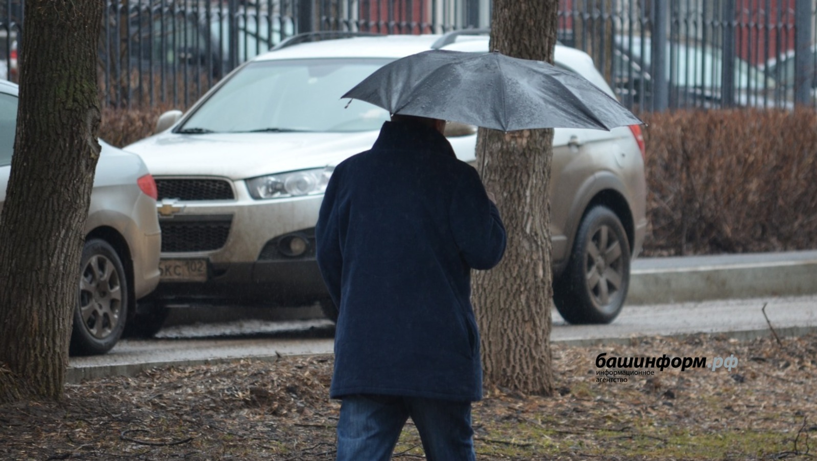 Ксения Калинина