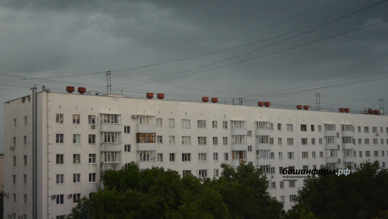Ксения Калинина