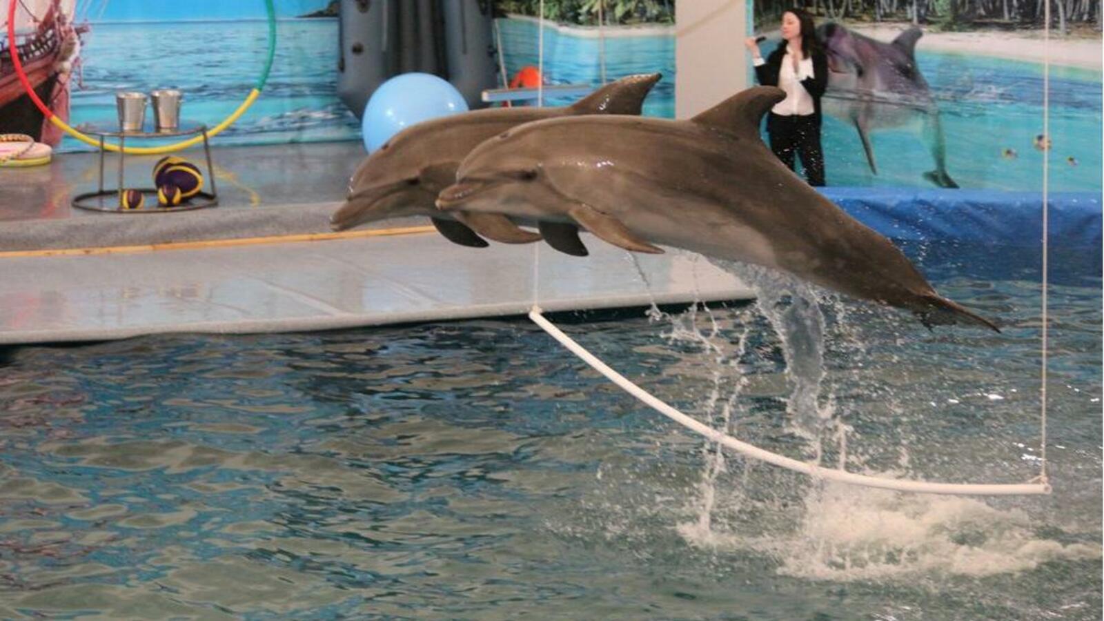 ИА «Башинформ»