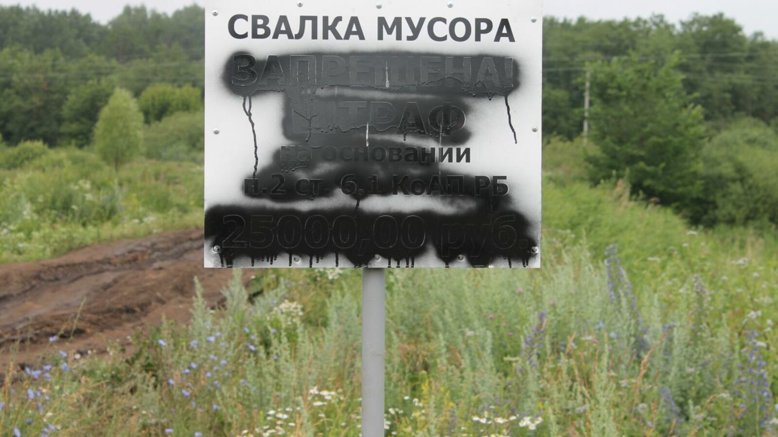 пресс-служба ОНФ