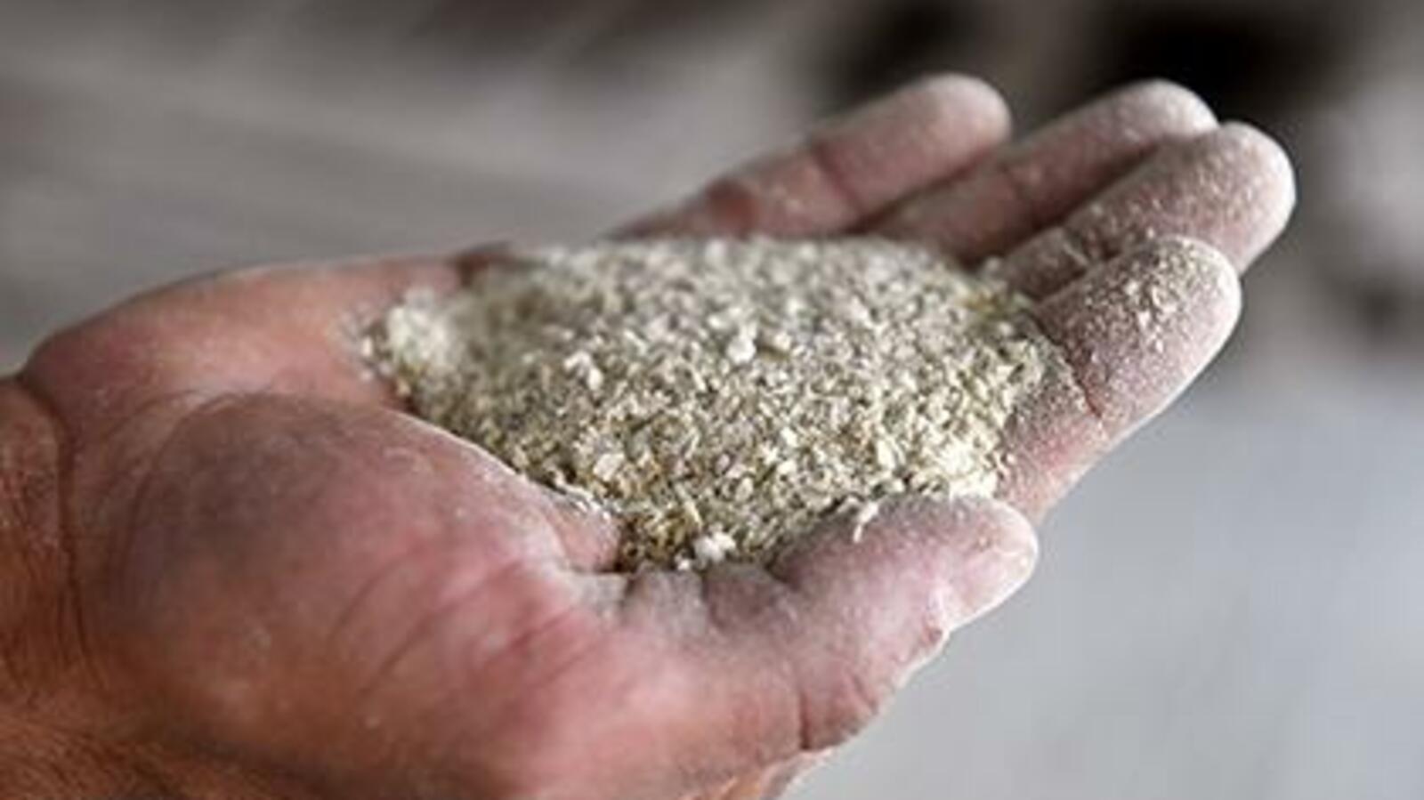 Глеб Щелкунов / «Коммерсантъ»