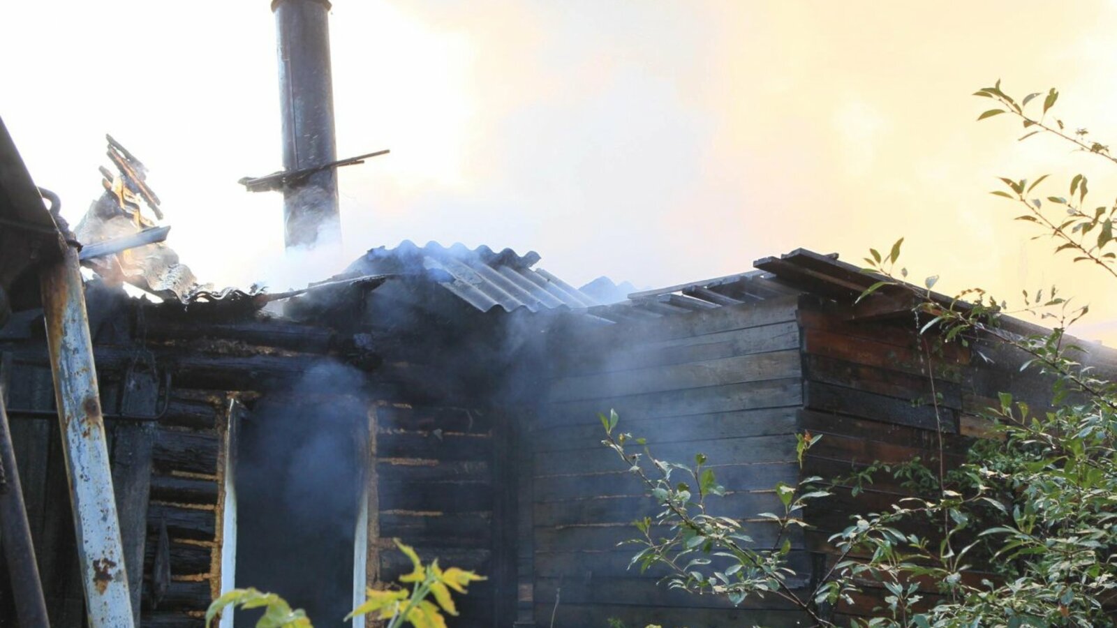 Андрей Старостин