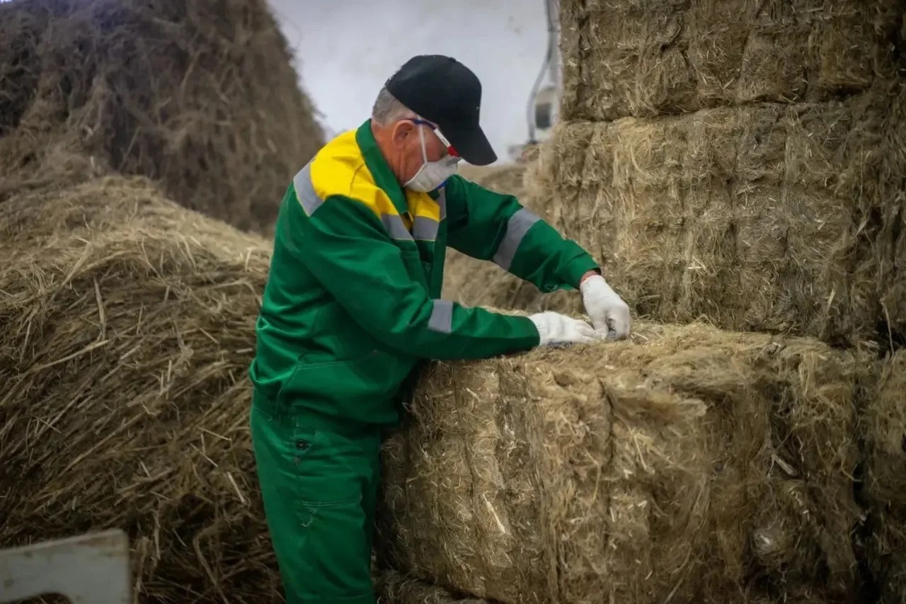 Радий Хабиров ТГ-канал