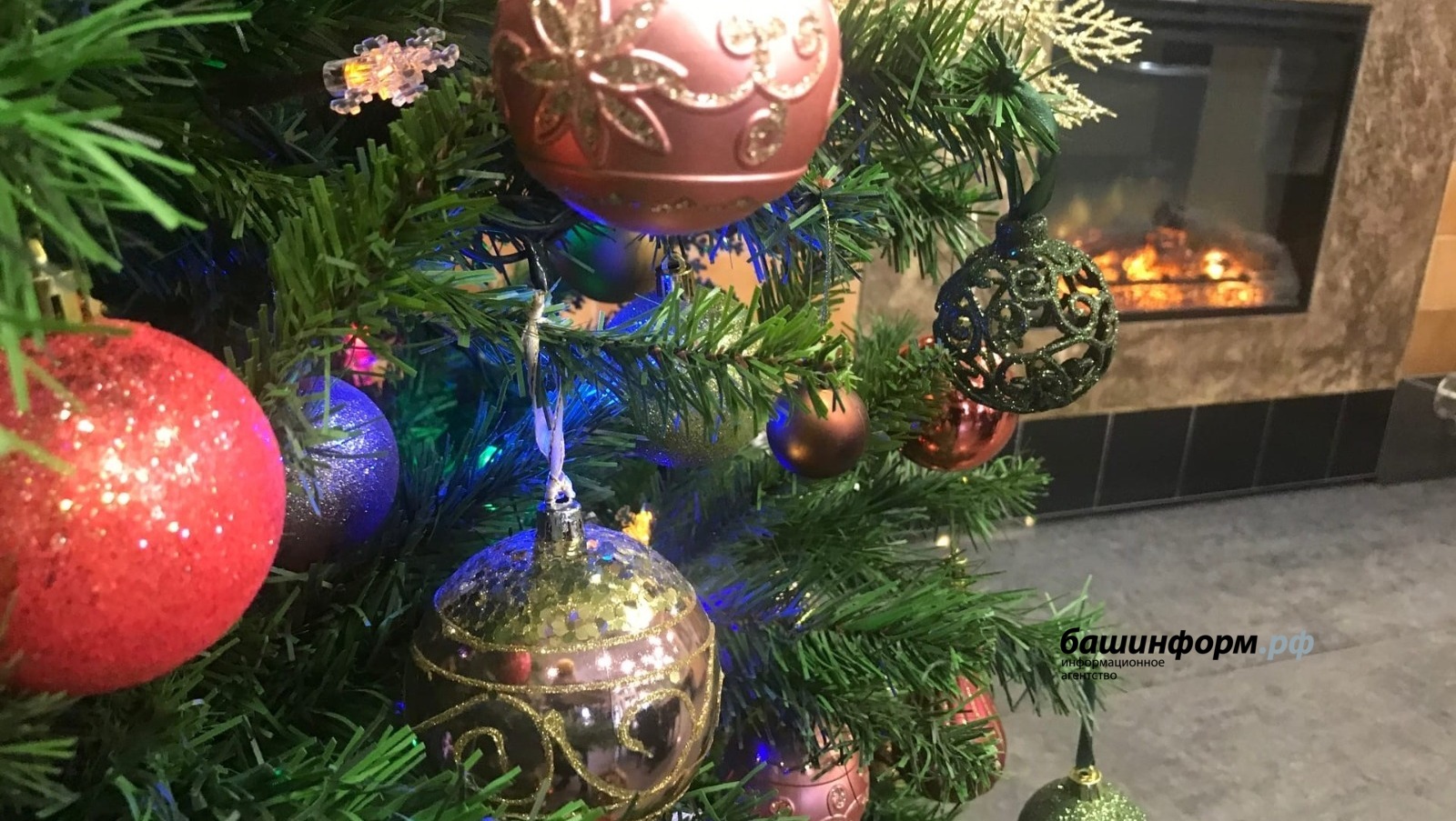 Ксения Калинина