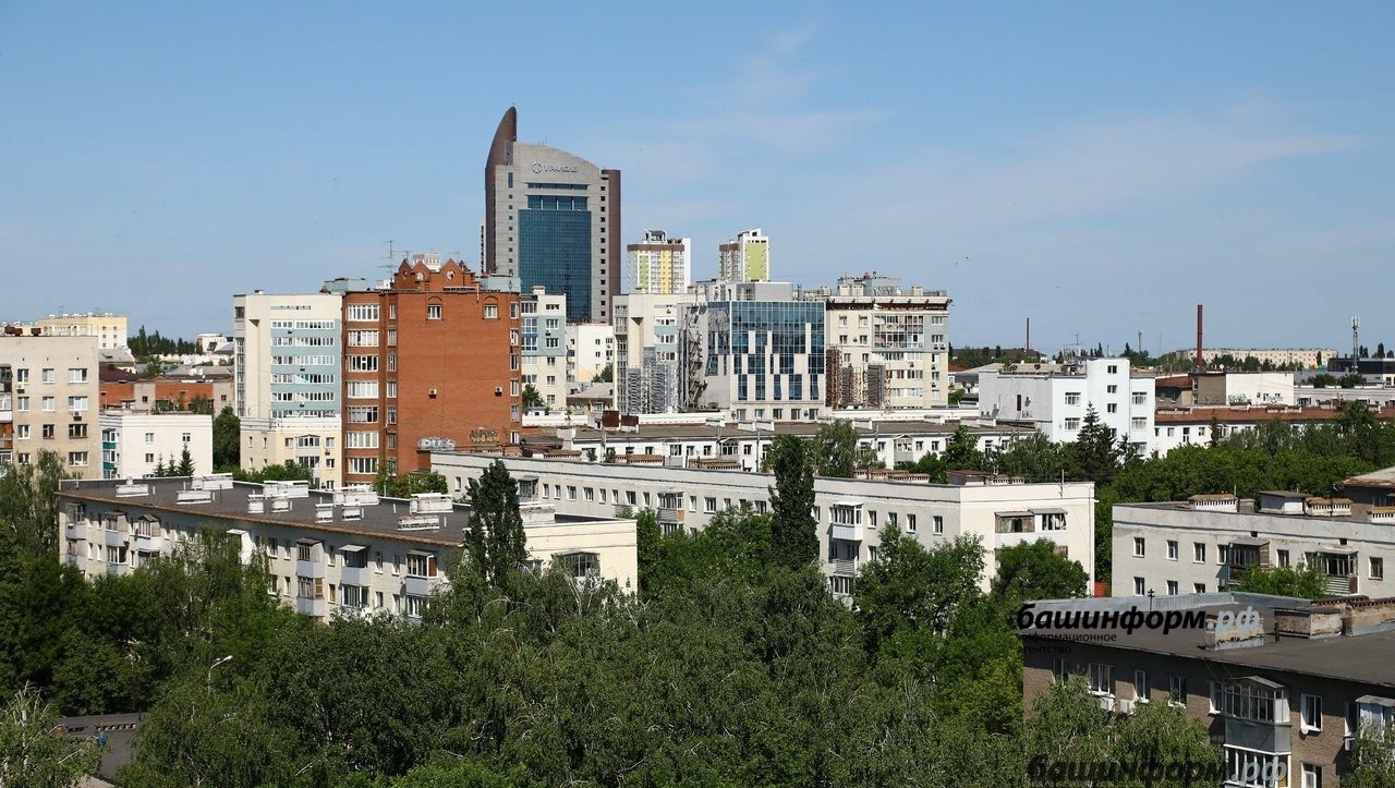 Ксения Калинина   Вид с крыши