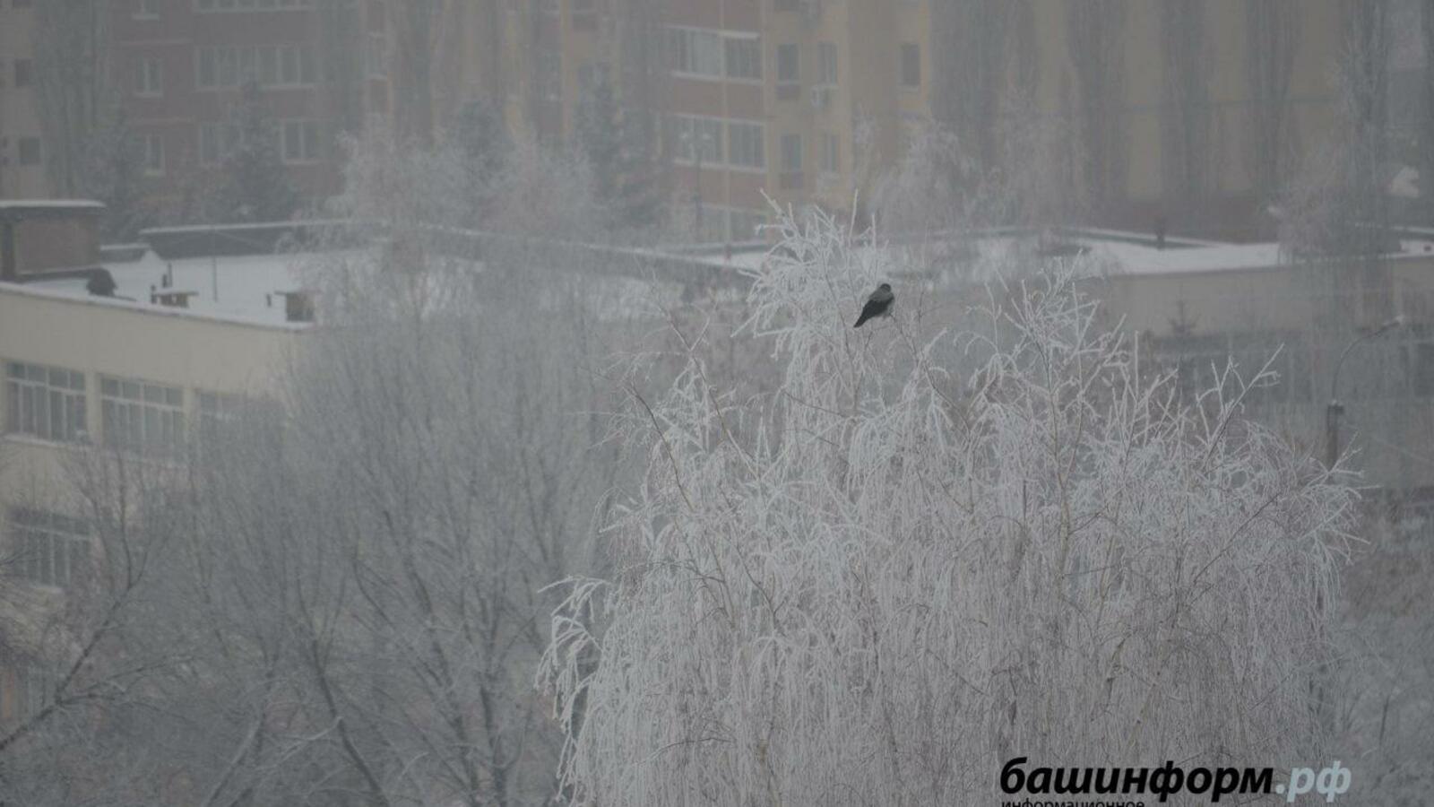 Ксения Калинина