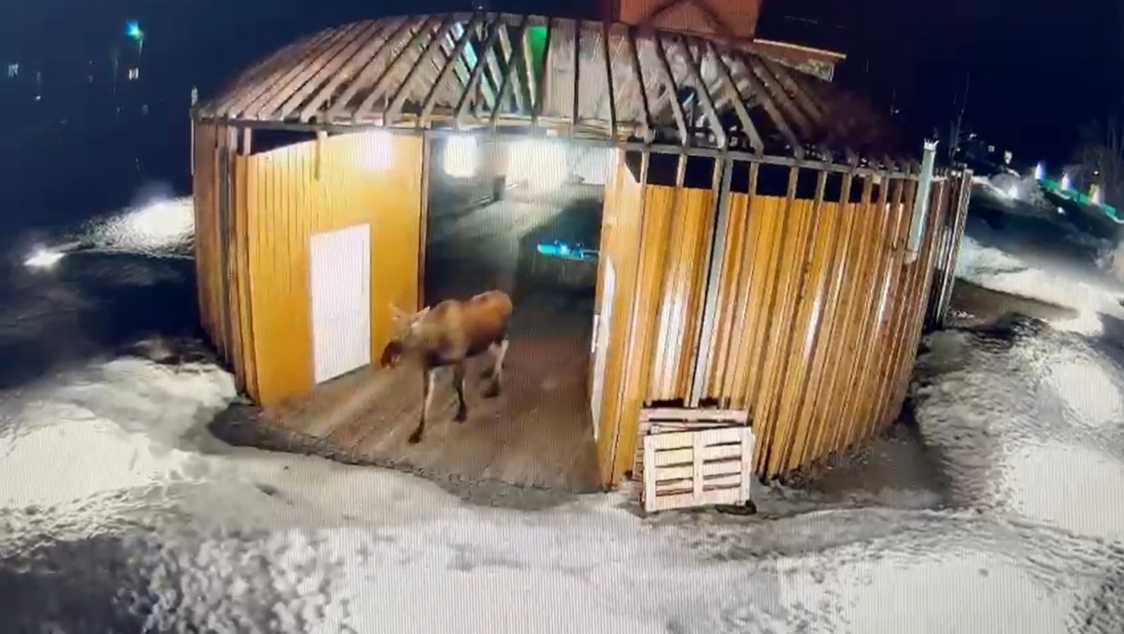 скриншот видео