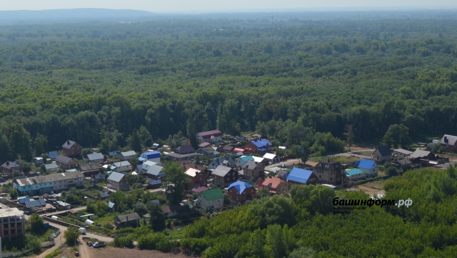 Ксения Калинина, архив