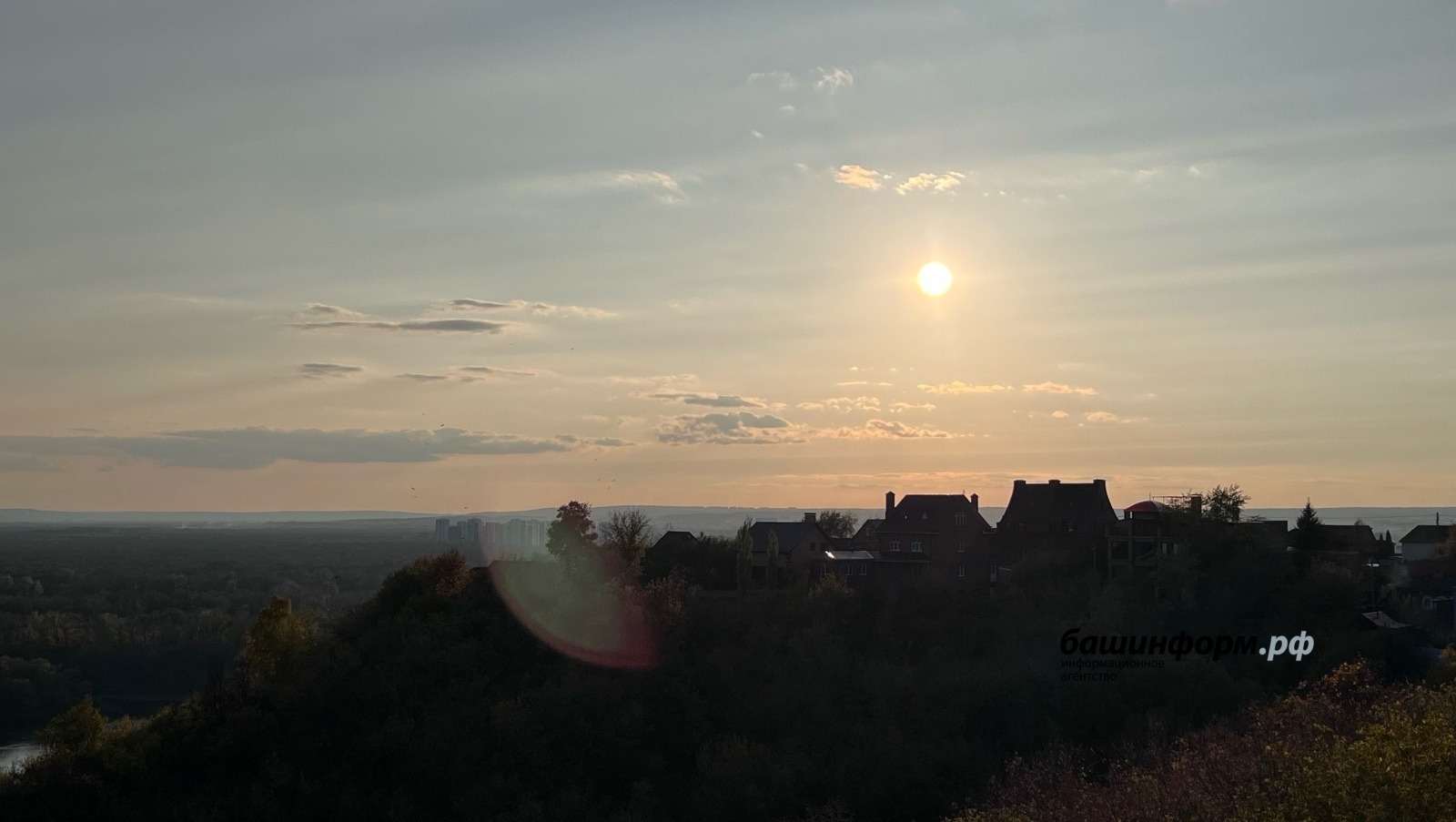 Ксения Калинина