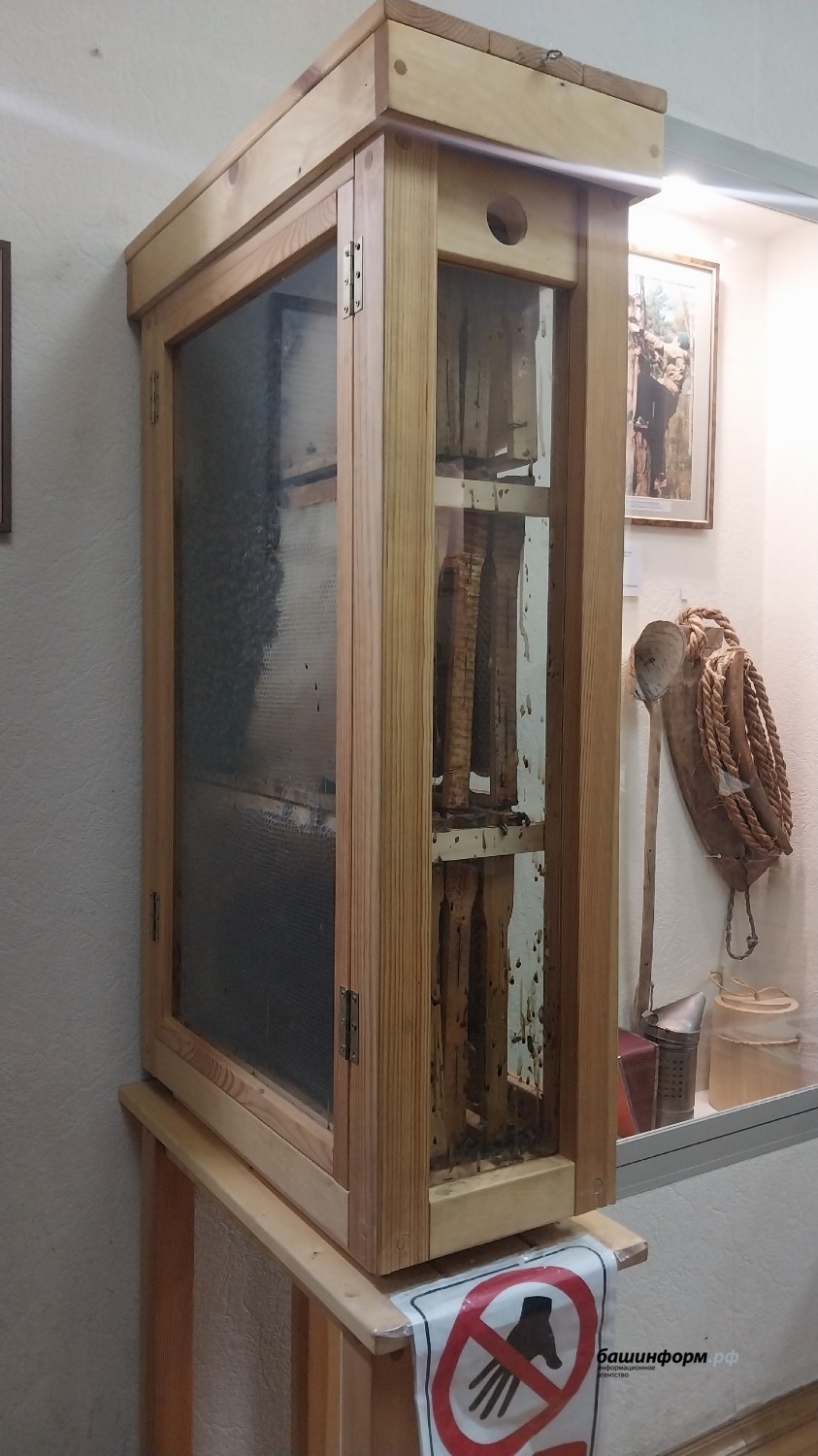 Идель Кагарманов пресс-служба Национального музея РБ