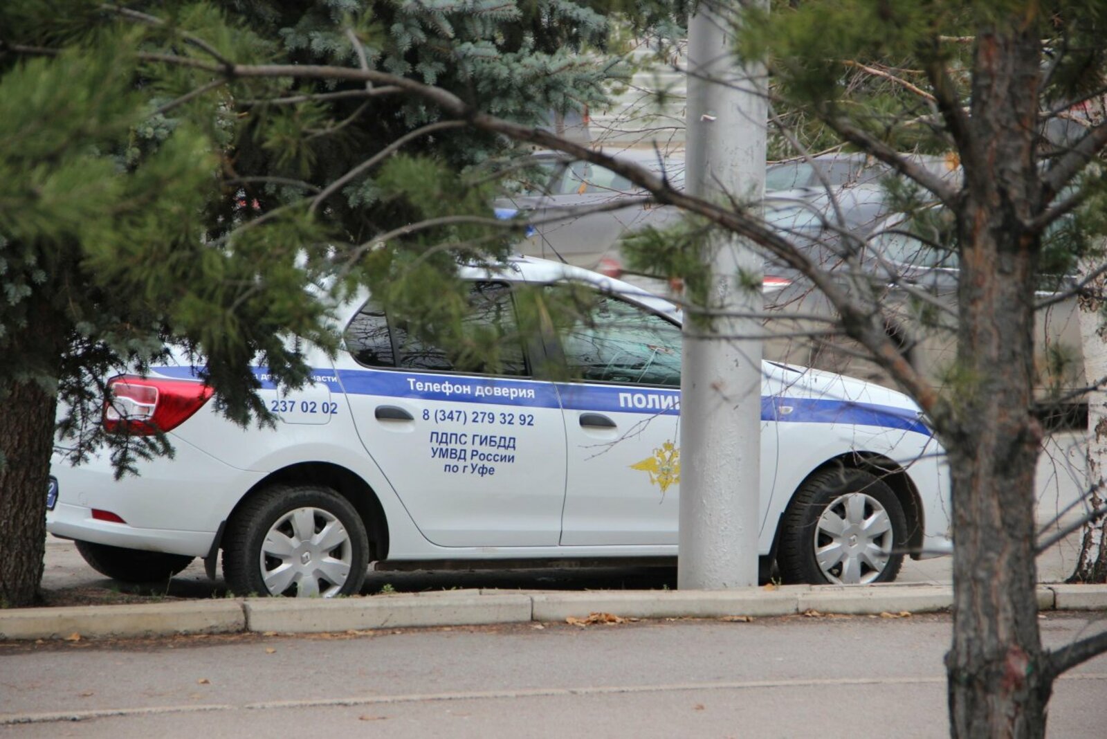 Ксения Калинина
