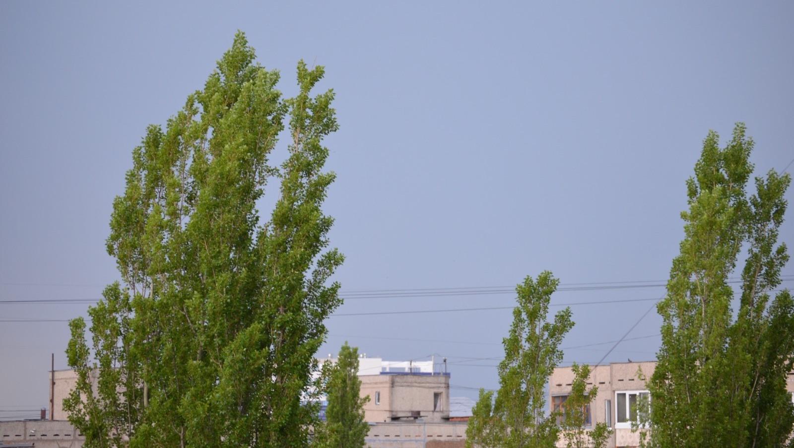 Ксения Калинина