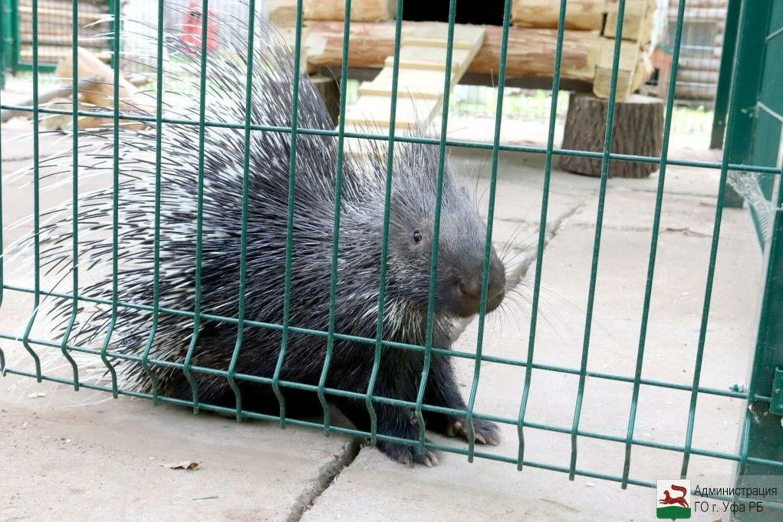 администрация Уфы