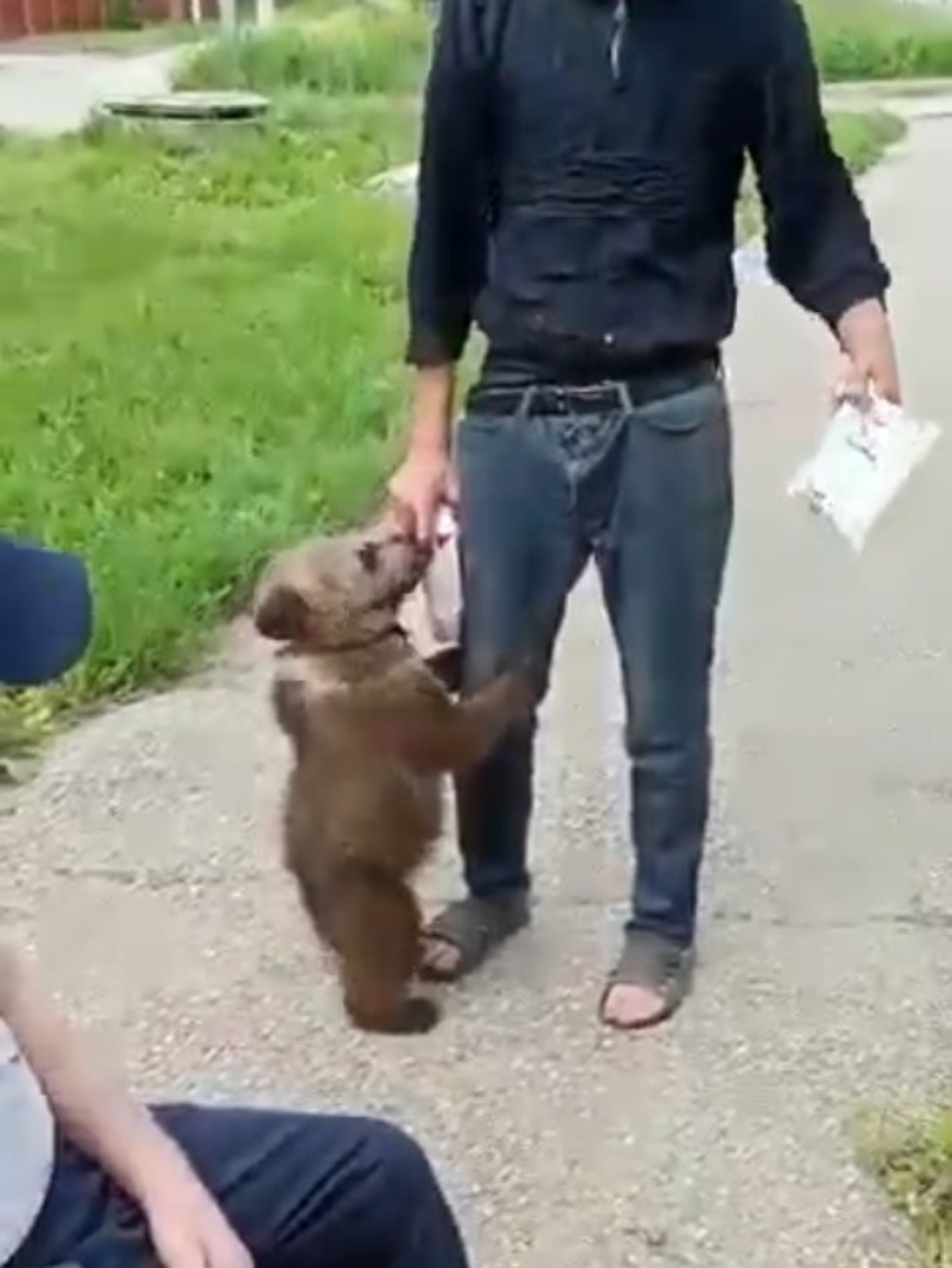 скриншот видео