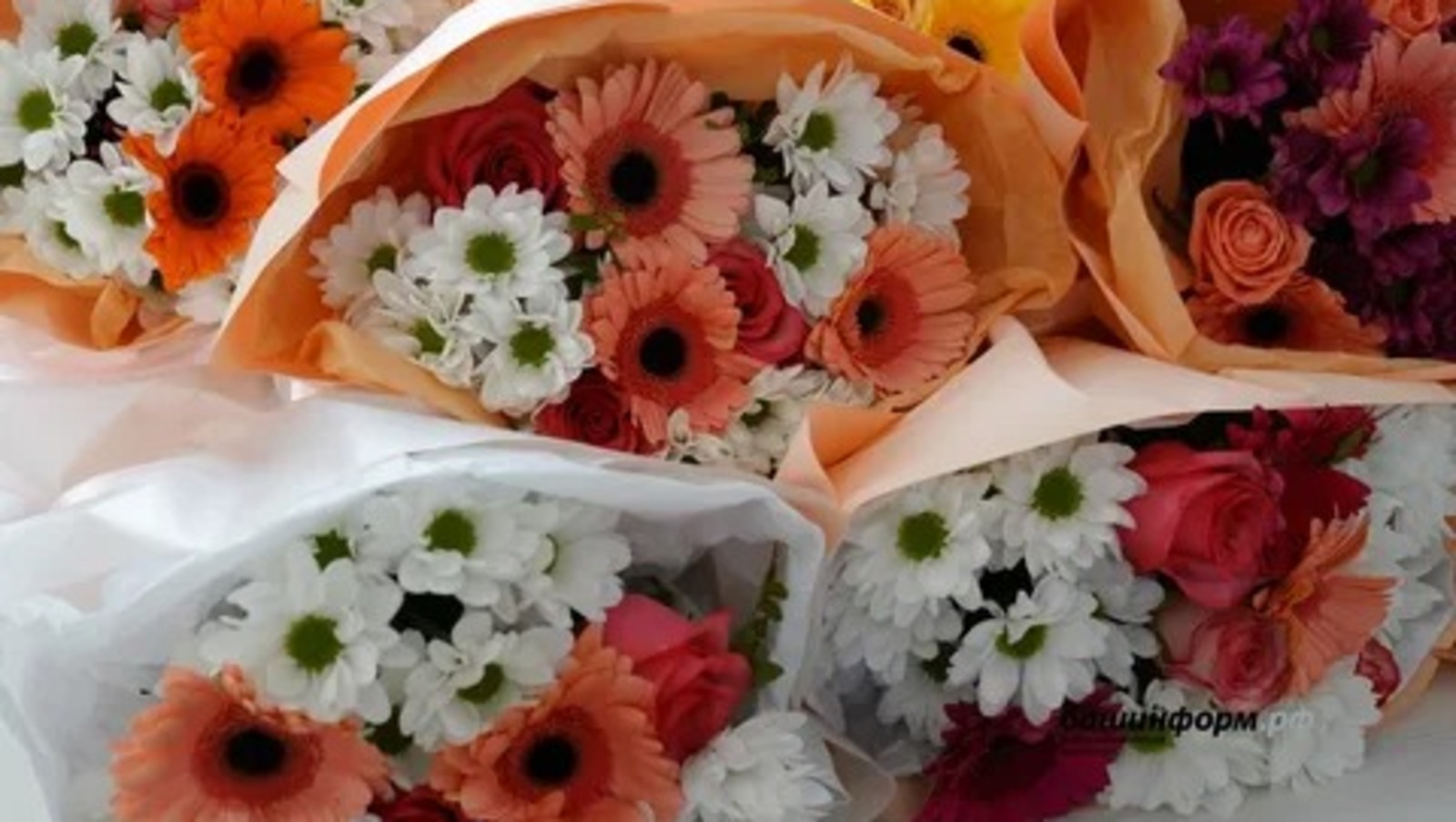 ИА «Башинформ» архив