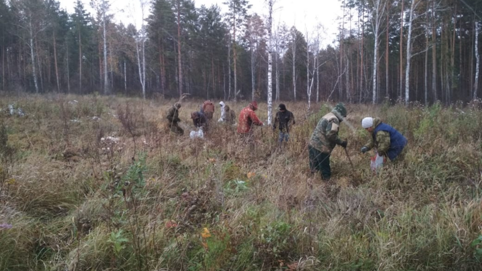 Минлесхоз РБ