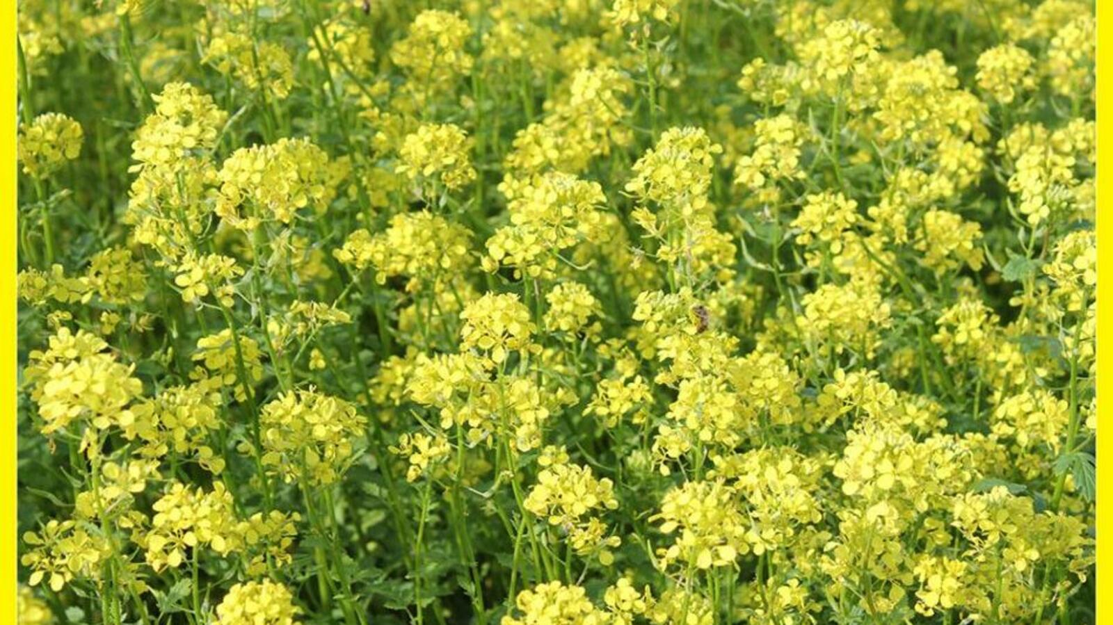 Минсельхоз РБ