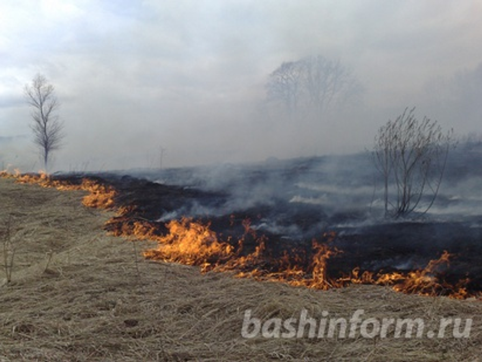 Андрей Старостин