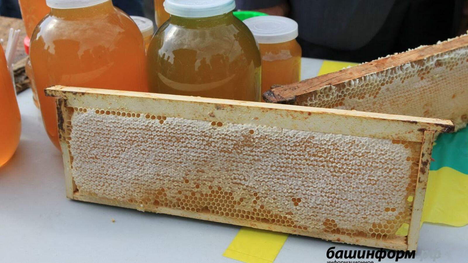 ИА «Башинформ»