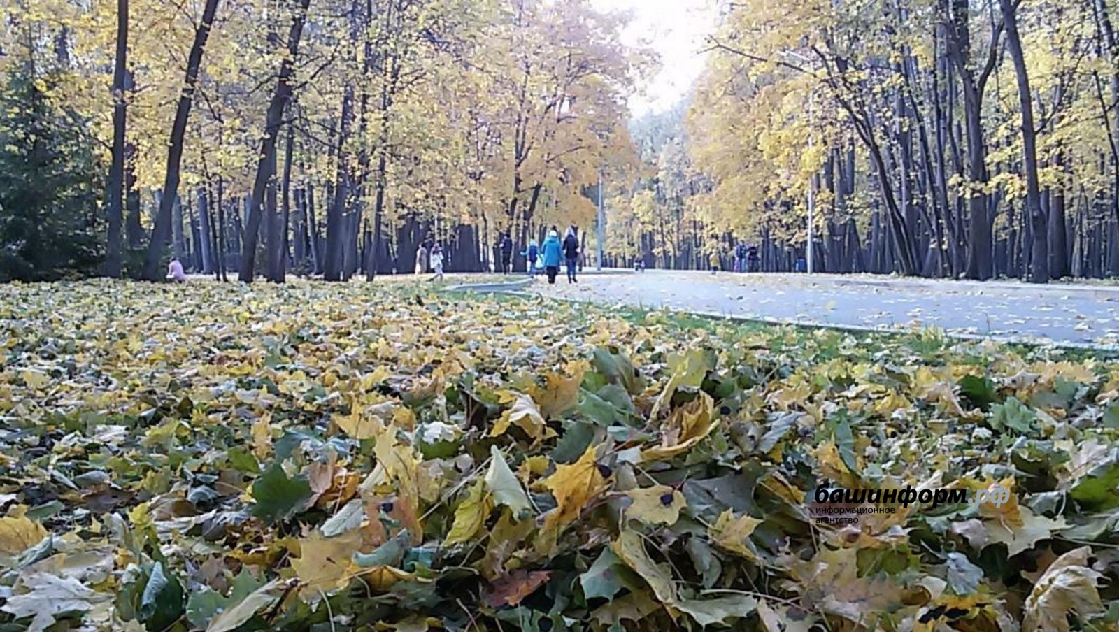 Гульфия Акулова архив ИА «Башинформ»