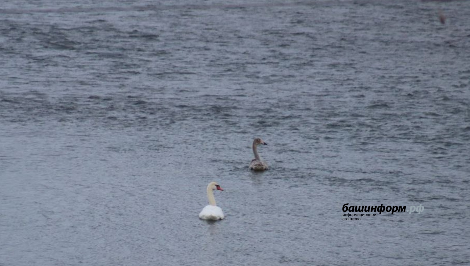 Национальный парк «Башкирия» телеграм