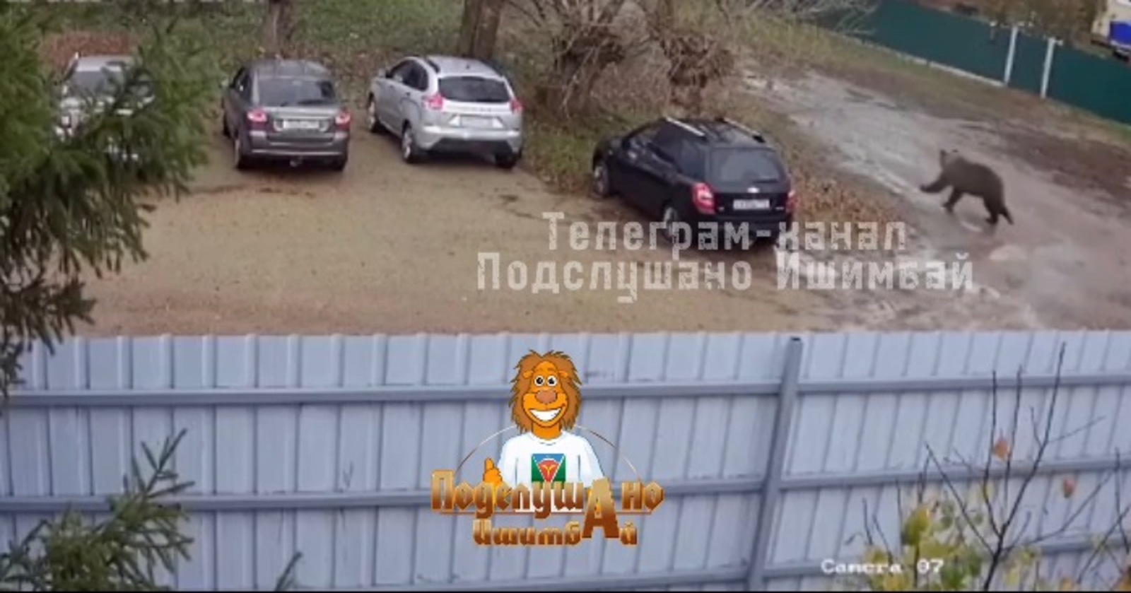 Скриншот видео