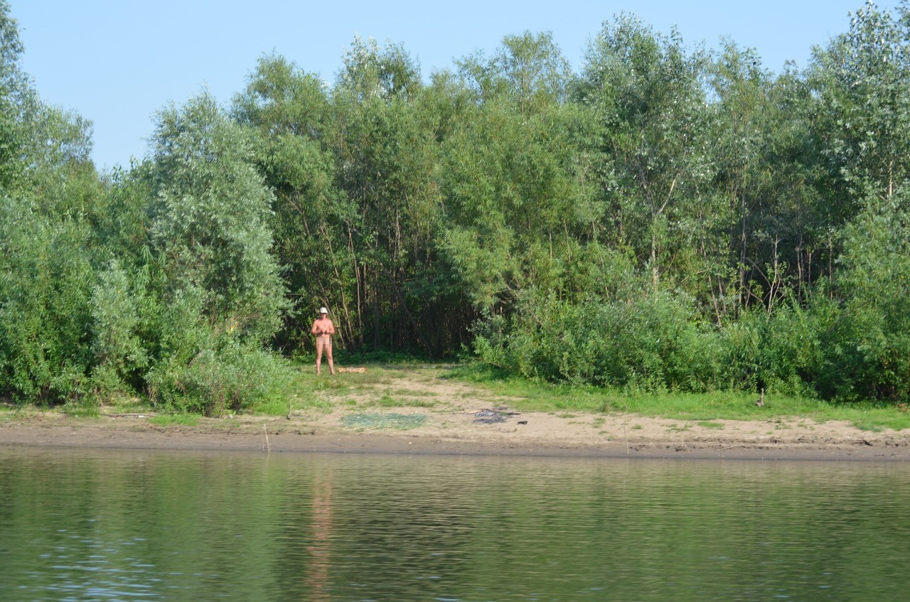 Натуристы на реке