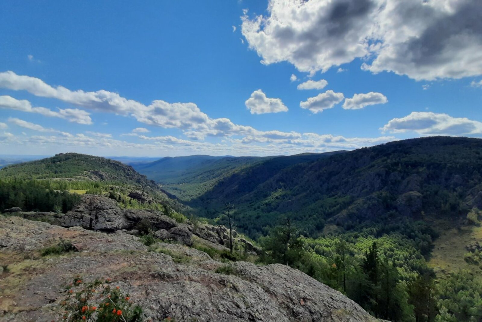 Лейла Аралбаева