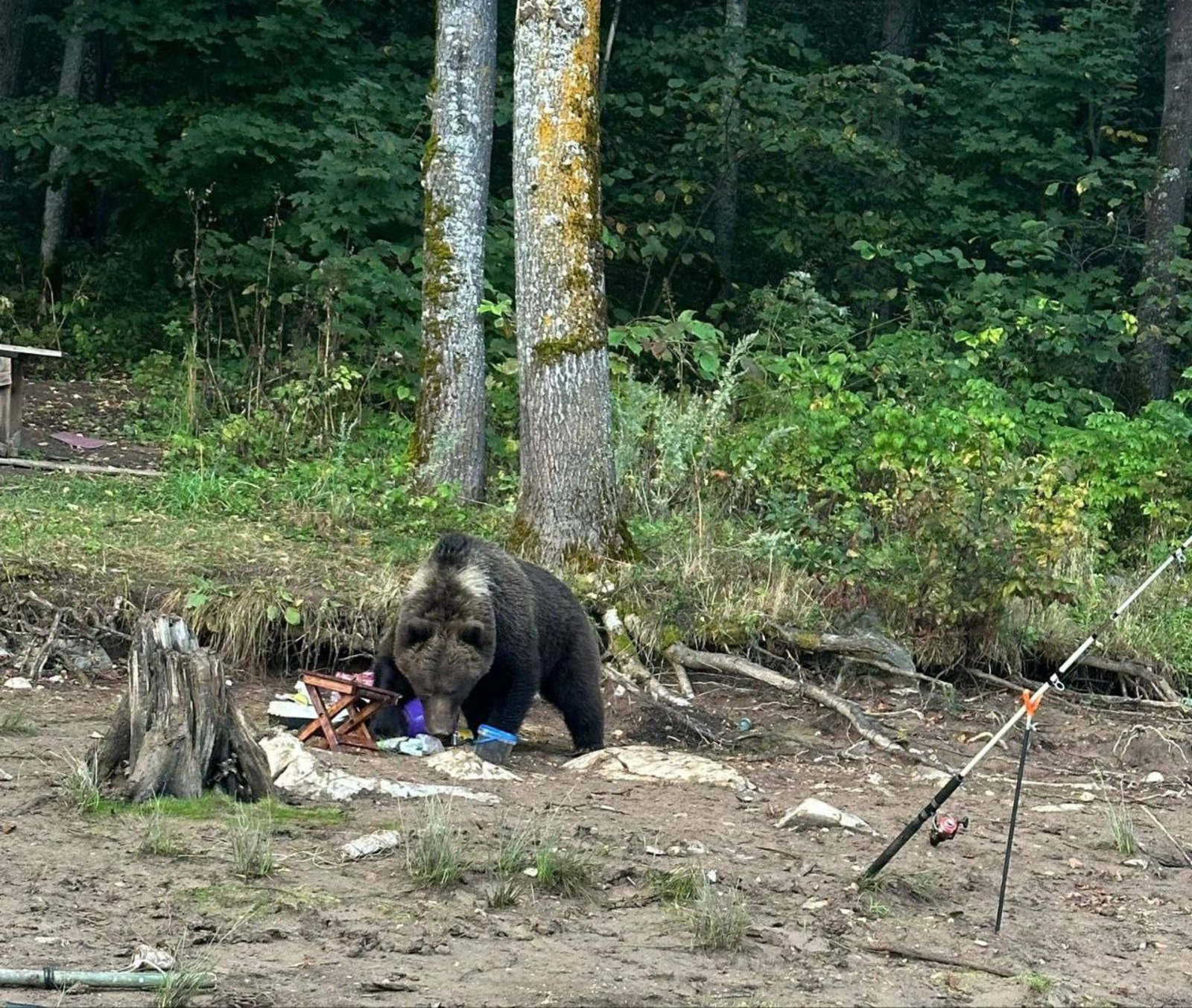 соцсети Андрея Назарова t.me/agnazarov