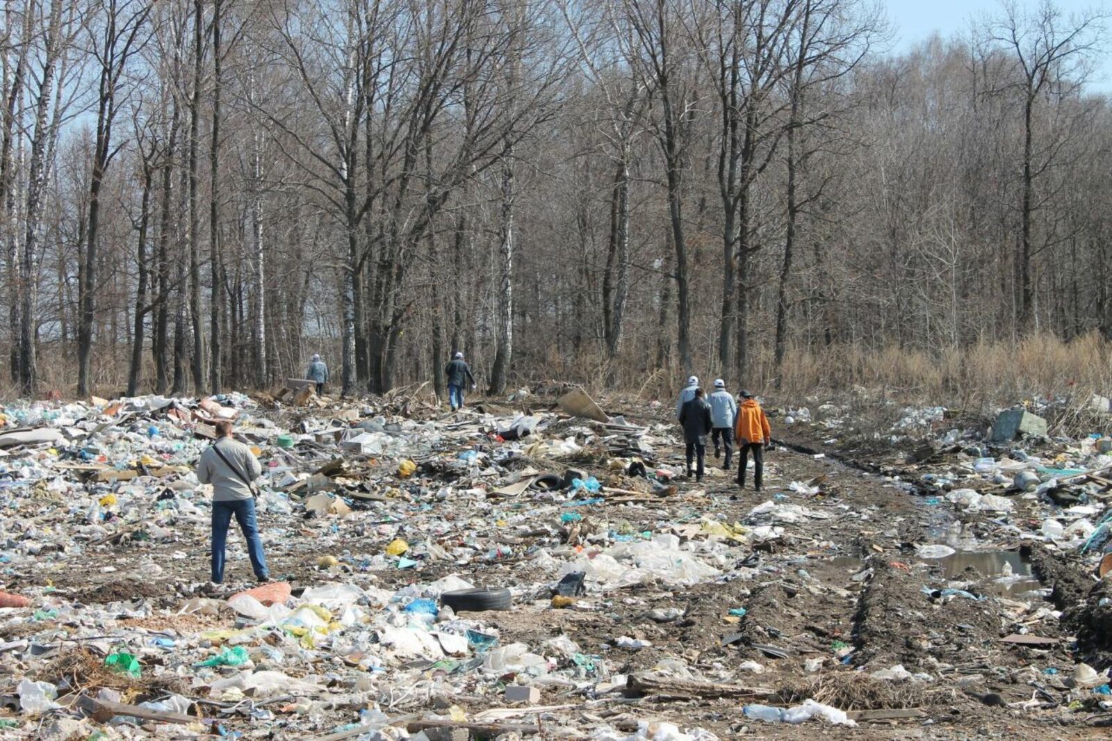 Пресс-служба ОНФ