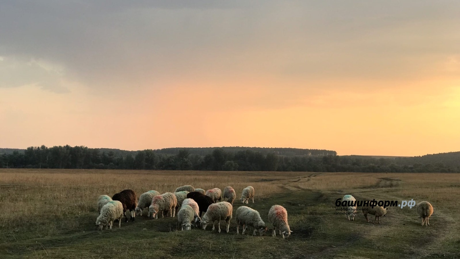 Ксения Калинина