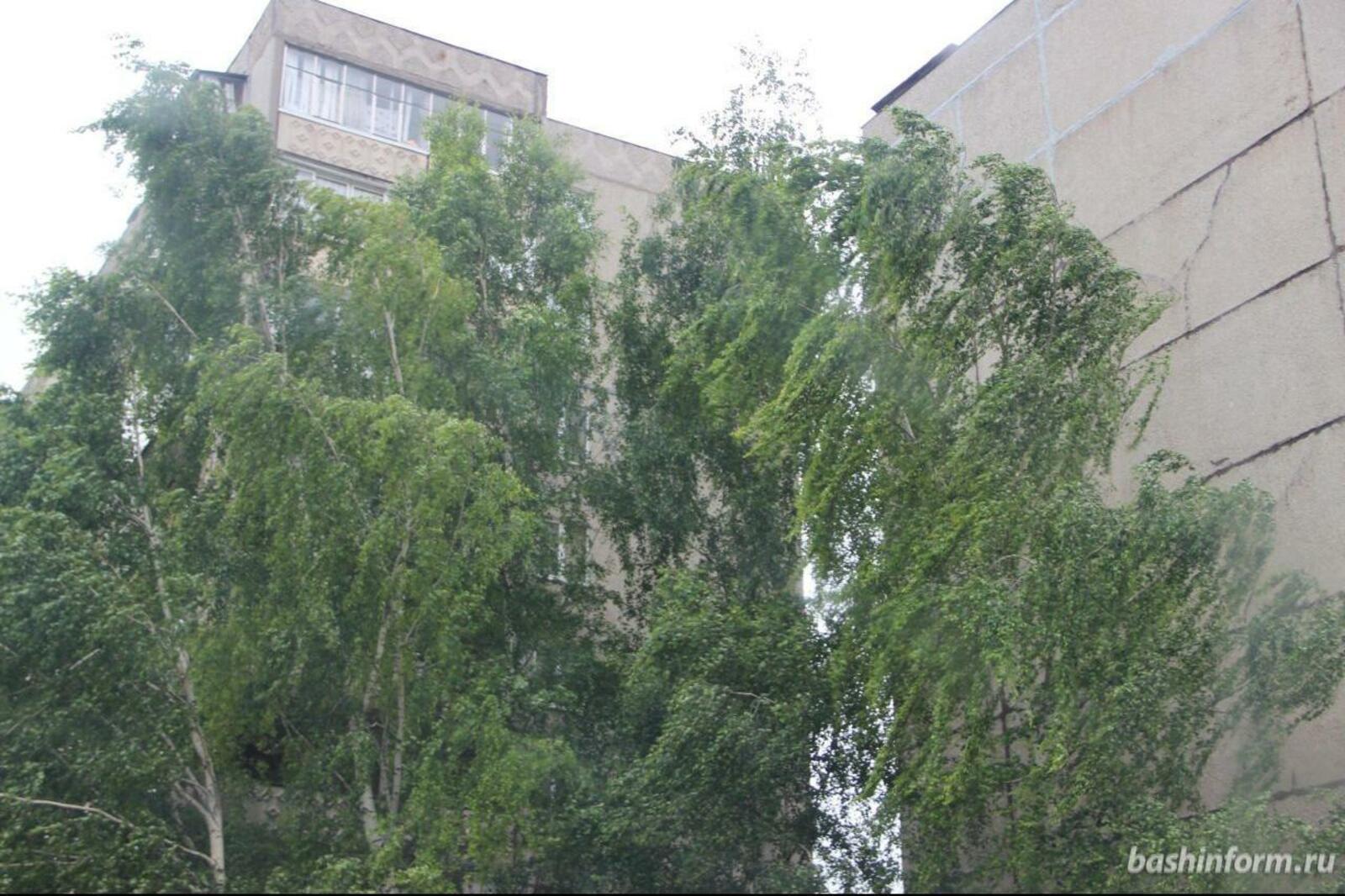Ксения Калинина