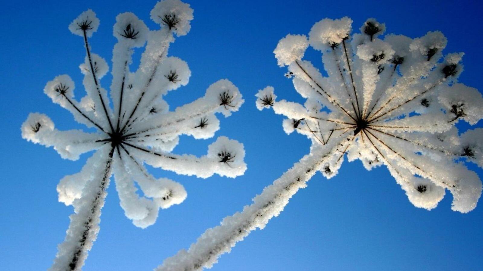 ИА «Башинформ»