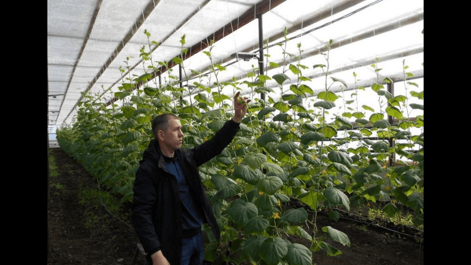 пресс-служба Минсельхоза Башкирии