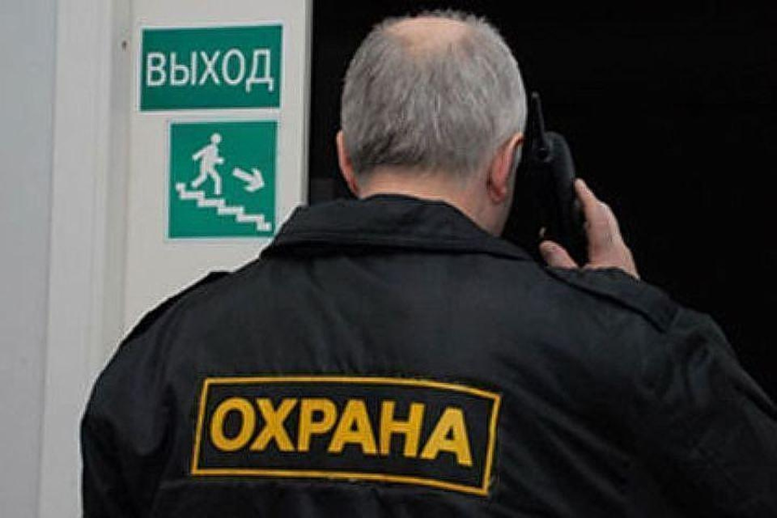 spb.kp.ru