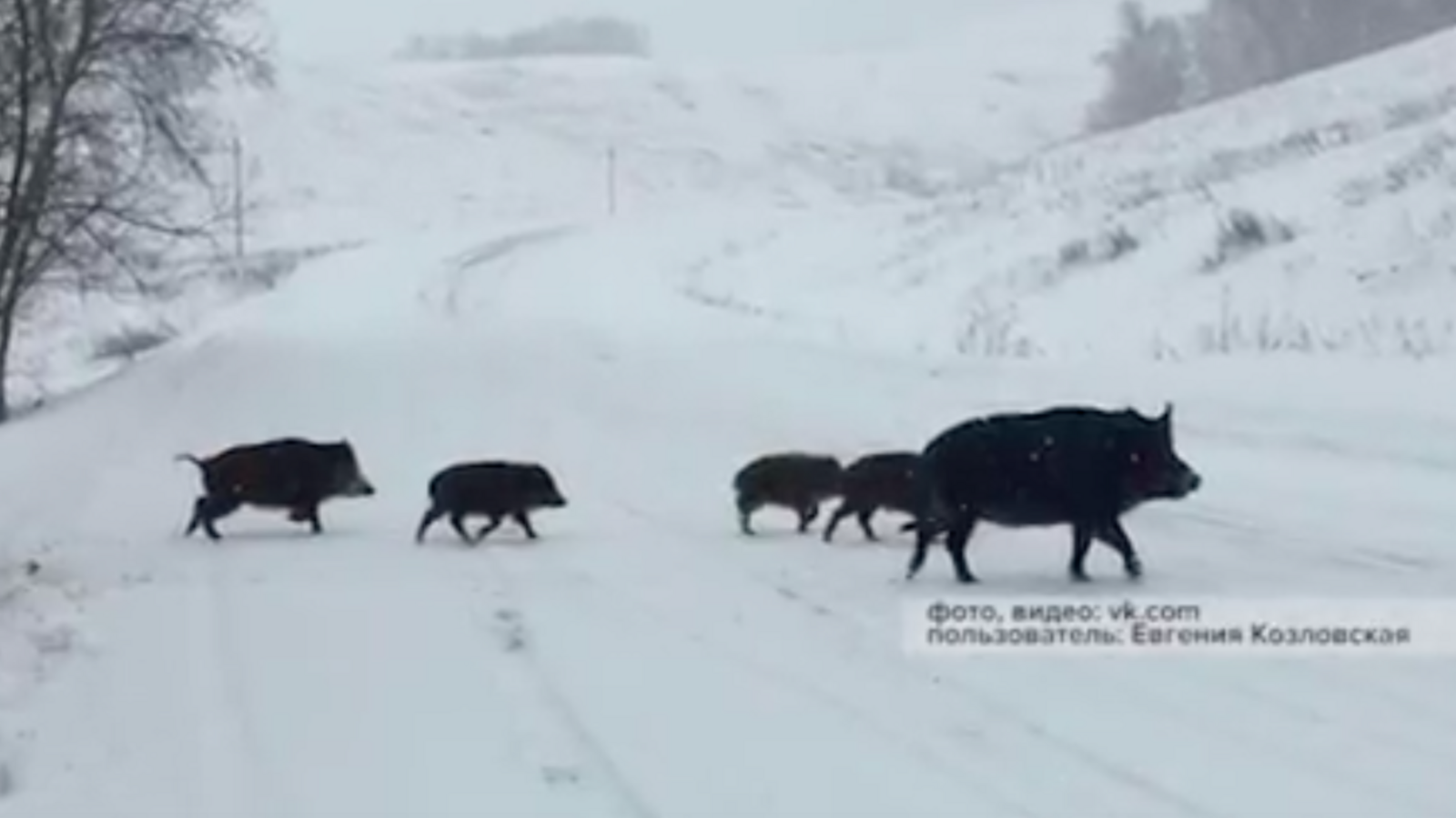стоп-кадр видео с телеканала «Вся Уфа»